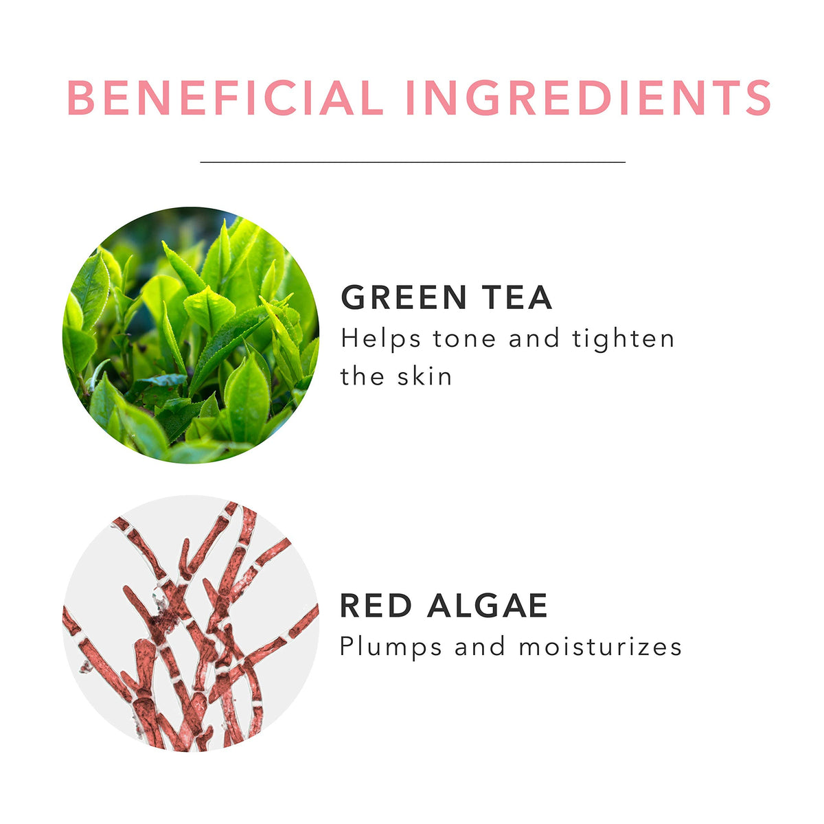 Rose hydrosol and green tea components in 100% PURE Coconut Shower Gel.