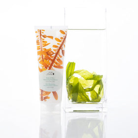 100% PURE Kelp & Mint conditioner ingredients close-up featuring green tea and avocado butter