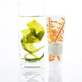 Fresh peppermint leaves with 100% PURE Kelp & Mint Shampoo for cooling scalp care.