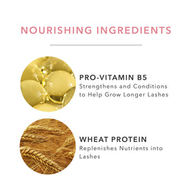 100% PURE Pro-vitamin B5 nourishes lashes during daily wear.