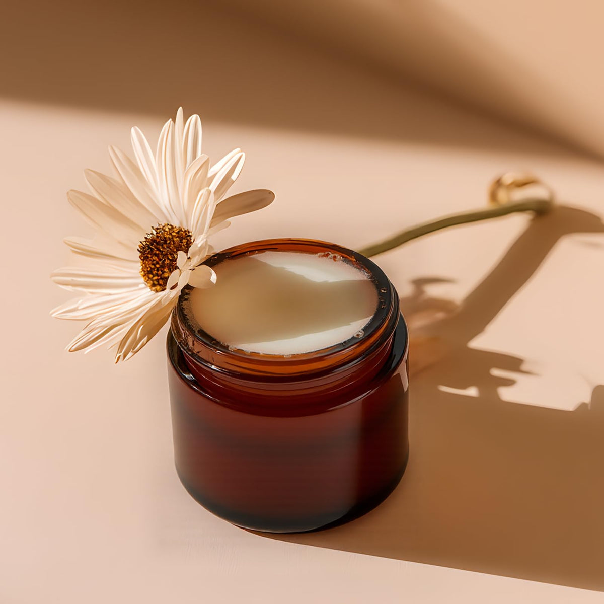 11 Hoa Kinh travel-ready jar fits in bags for on the go storage