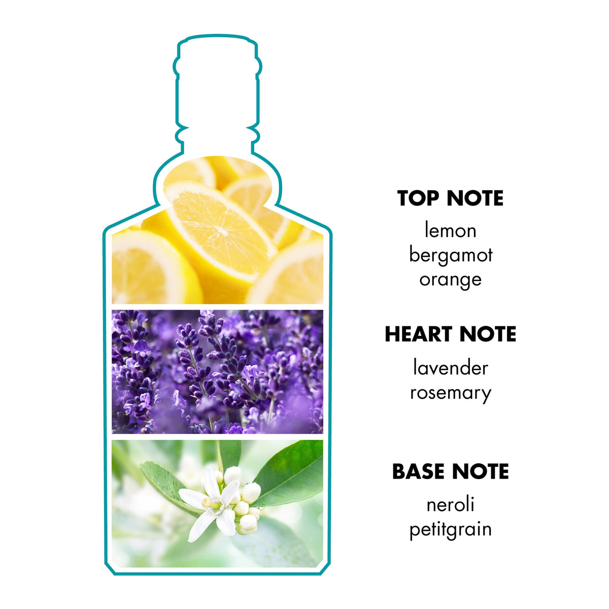 4711 lemon and orange citrus notes evoke an uplifting mood.