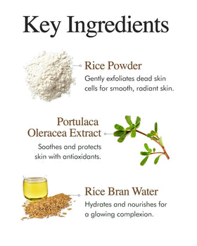 9 Wishes Rice Bran Extract application on skin to boost moisture