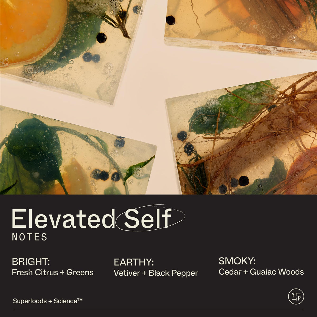 Youth To The People fragrance swatch with Elevated Self aroma