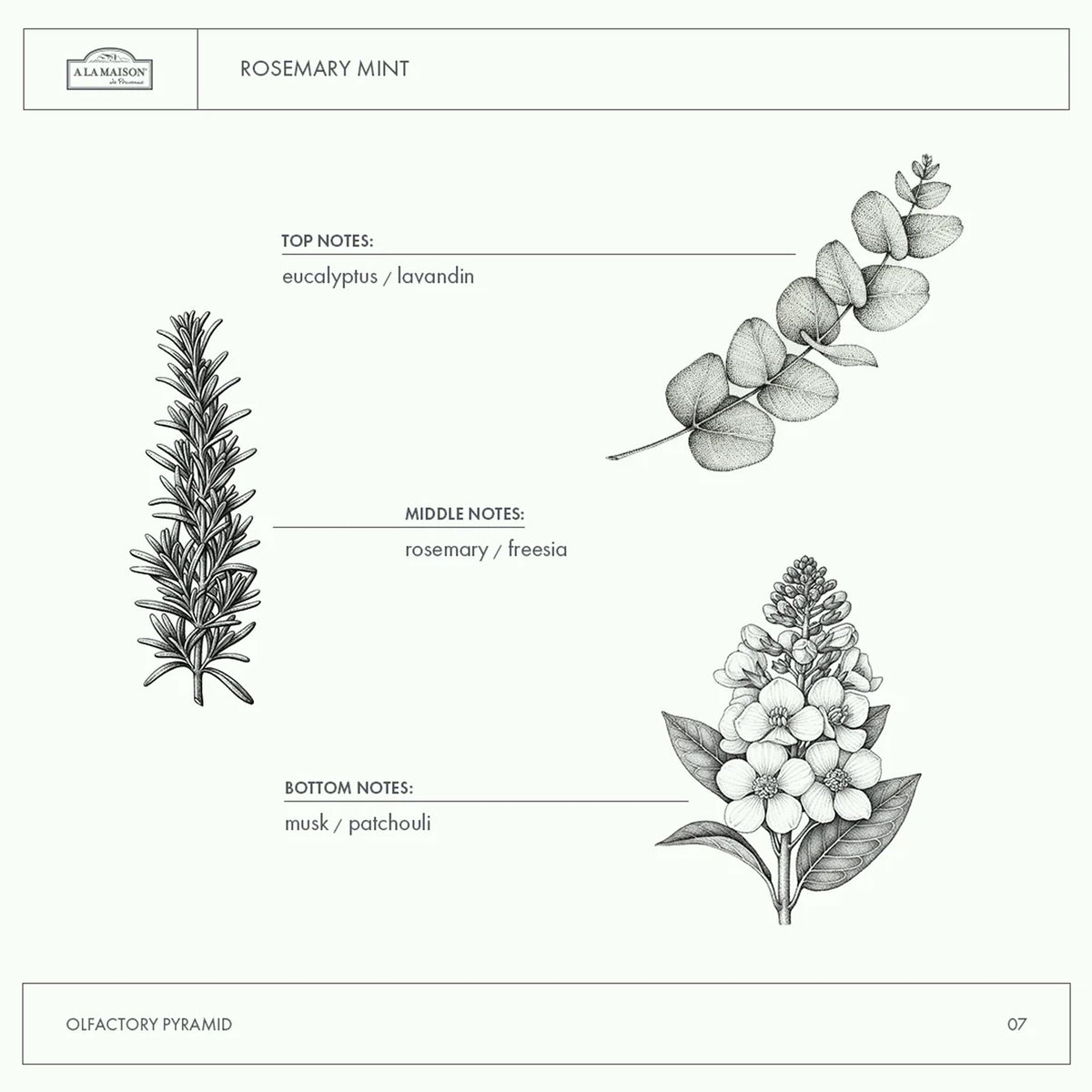 Biodegradable packaging for eco-friendly hand care routines.