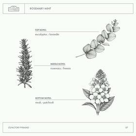 Biodegradable packaging for eco-friendly hand care routines.