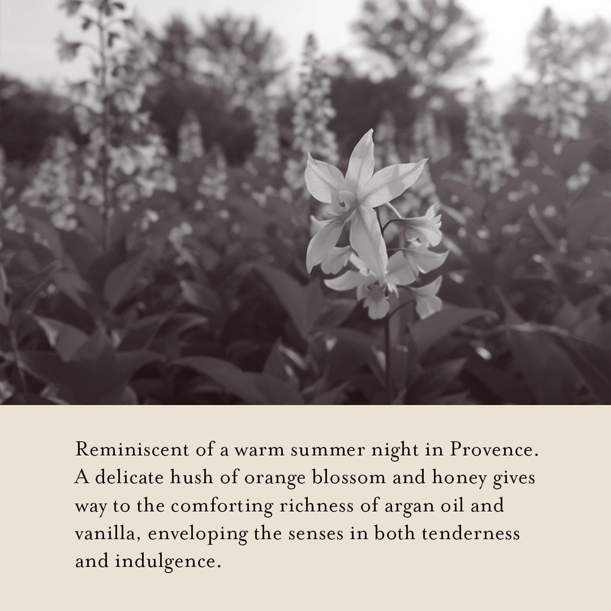 A LA MAISON Argan oil blend emphasizes nourishing softness and smooth skin.