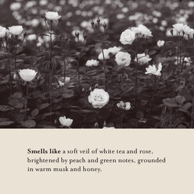Fragrance inspired by white tea and rose in A LA MAISON Earth Body Scrub
