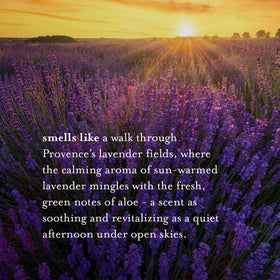 A LA MAISON Lavender Aloe pour shot shows smooth liquid ideal for rich lather.