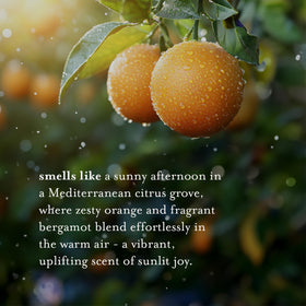 A LA MAISON Orange Bergamot Body Wash rinse and foam for a clean finish