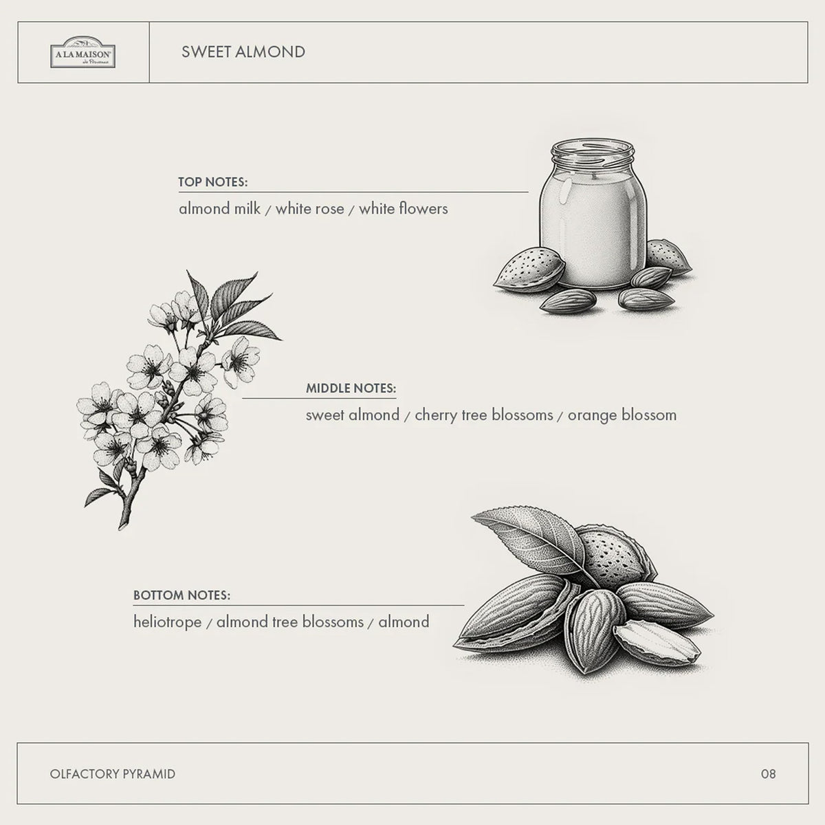 A LA MAISON Lotion packaging highlights cruelty-free and sulfate-free commitments.