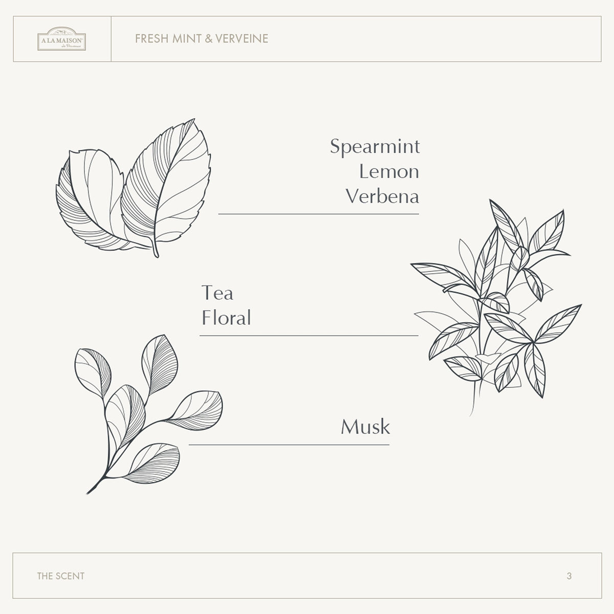 A LA MAISON vegan biodegradable formula for eco skincare.