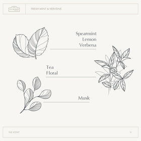A LA MAISON vegan biodegradable formula for eco skincare.