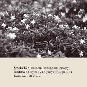 A LA MAISON Jasmine and Santal fragrance offers a warm, elegant finish.