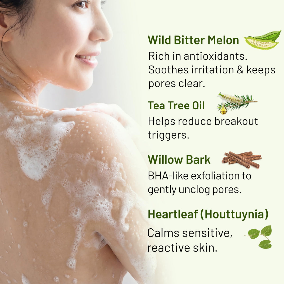 ABERA tea tree oil plant extract image suggesting soothing, purifying properties