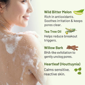 ABERA tea tree oil plant extract image suggesting soothing, purifying properties