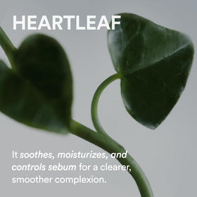 Abib Heartleaf Cream hydrates and supports the moisture barrier for dry skin
