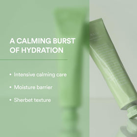 Abib Heartleaf Cream sherbet texture melts on skin for refreshing hydration