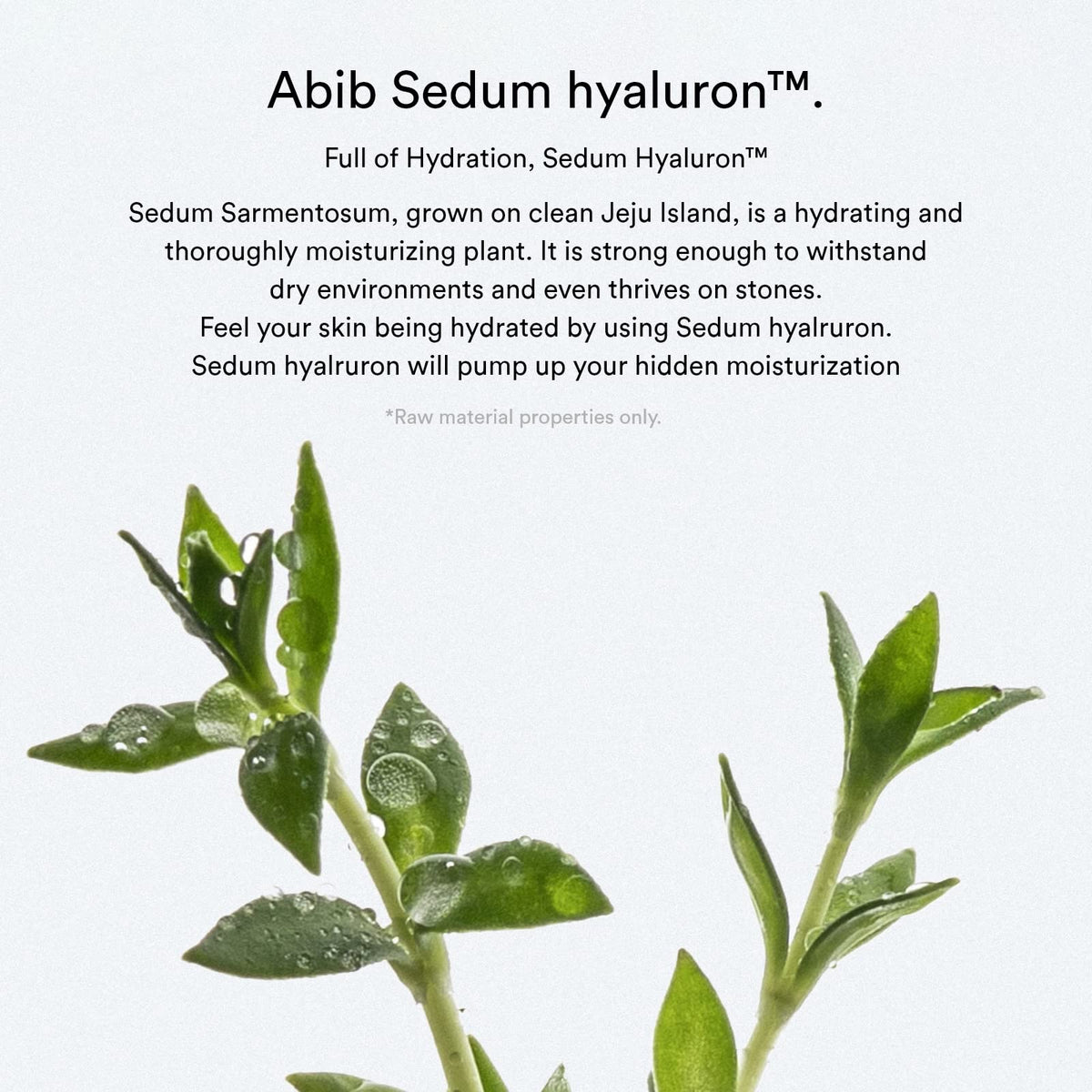 Abib Sedum Hyaluron Pad Hydrating Touch closeup texture shows gentle smoothing action.