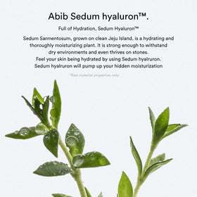 Abib Sedum Hyaluron Pad Hydrating Touch closeup texture shows gentle smoothing action.