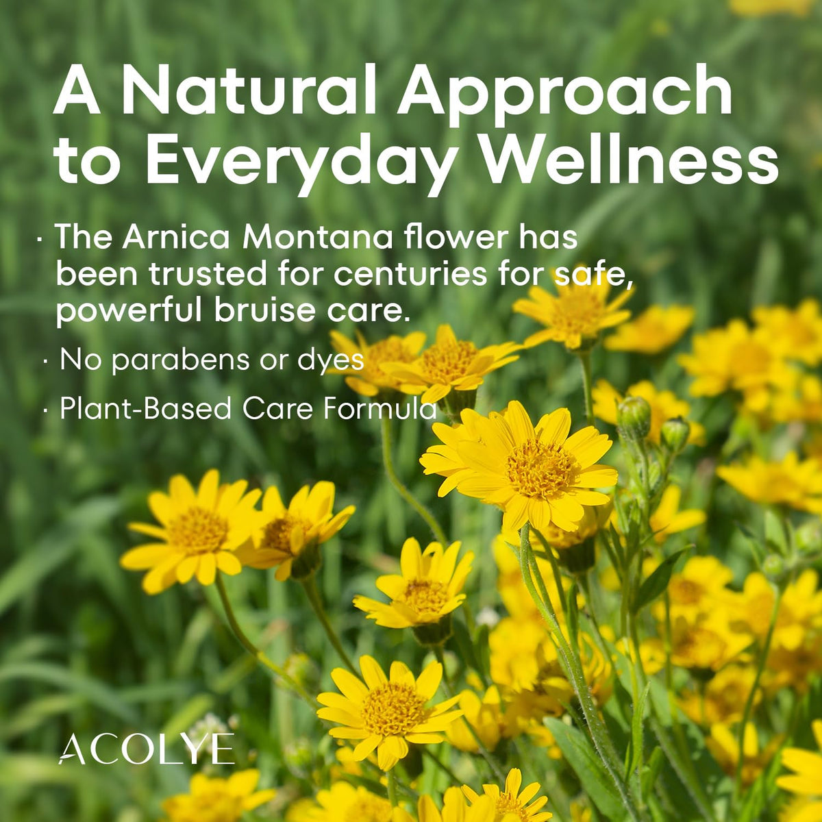 Acolye Arnica Cream on arms helps calm bruise-prone skin with gentle care.