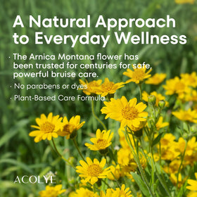 Acolye Arnica Cream on arms helps calm bruise-prone skin with gentle care.