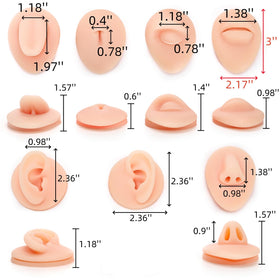 Acshio silicone eye model for precise practice anatomy