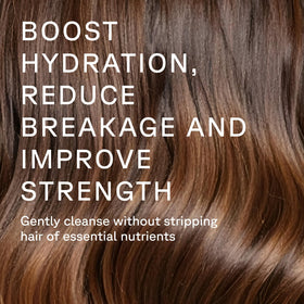 Acure Bonding Shampoo chia-avocado ingredients fortify and hydrate.