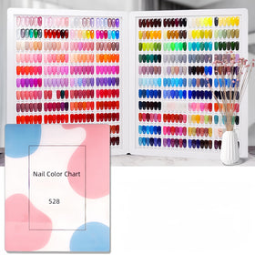 Acycoin2A 528 nail color book cover displaying organized color samples for quick selection
