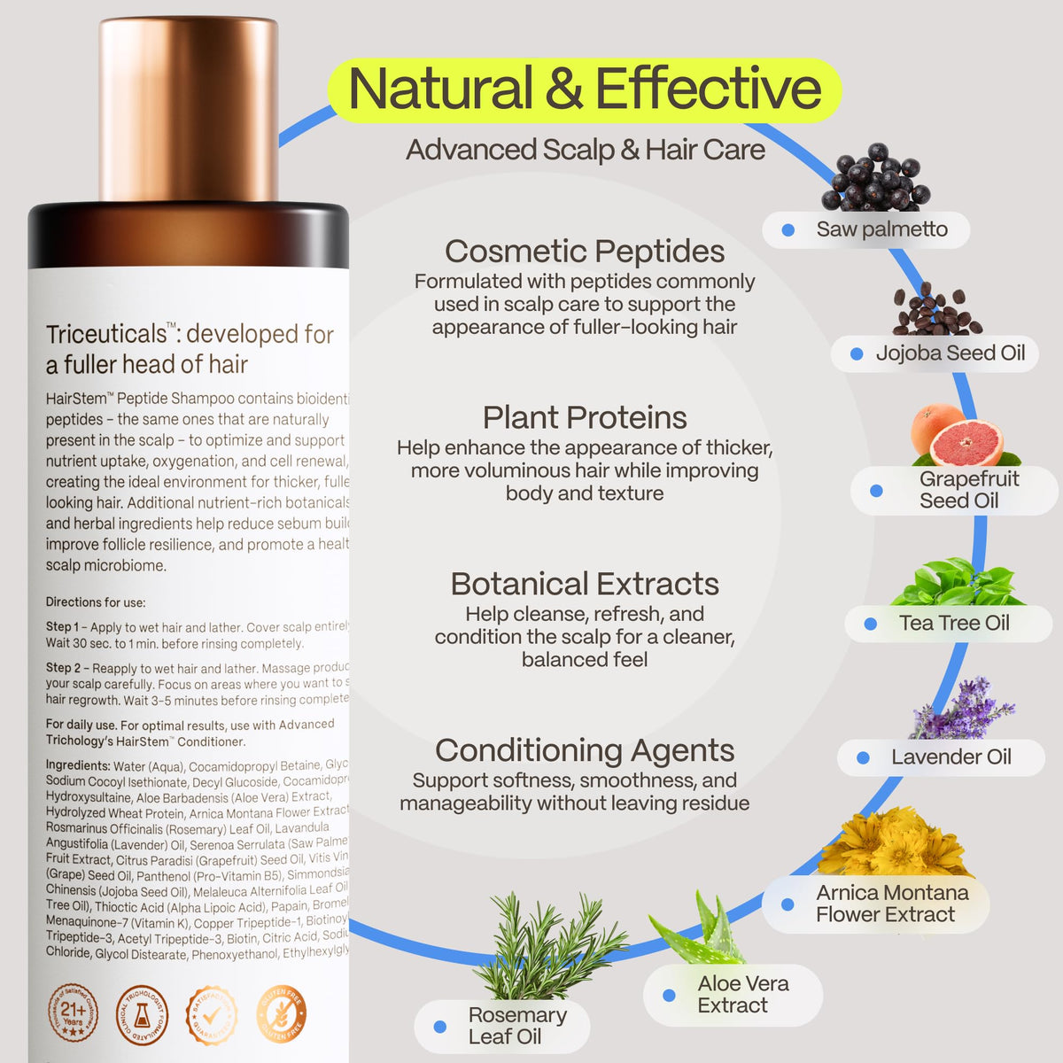 Hairstem Peptide Shampoo botanicals display with aloe and jojoba
