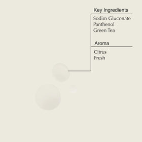 Aesop B & Tea Balancing Toner label closeup highlighting Provitamin B5 and green tea.