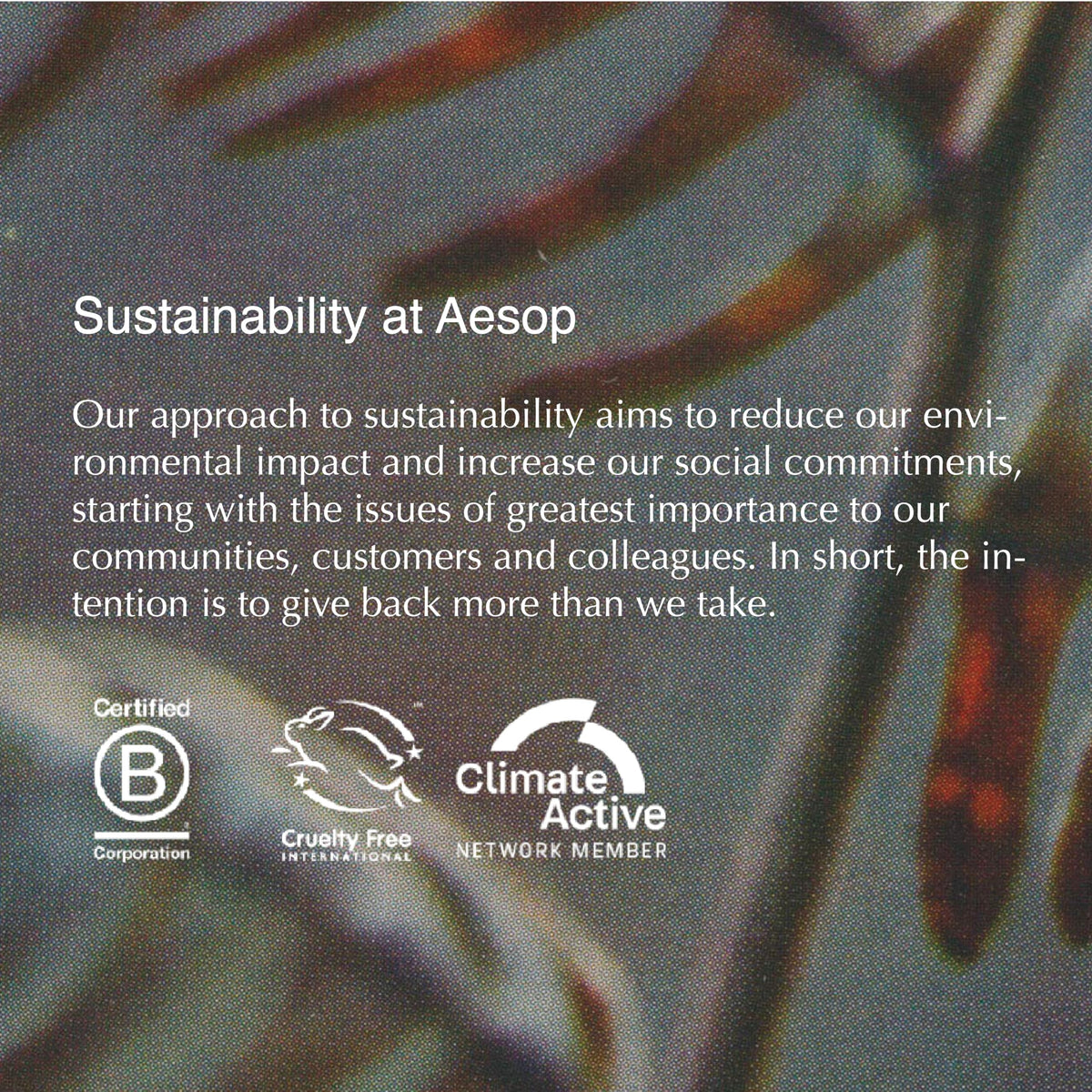 Aesop Cedar and Citrus Lip Balm on-dry lips provides comforting hydration throughout the day
