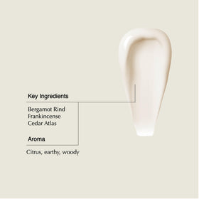 Aesop conditioner featuring frankincense for earthy, soothing notes.