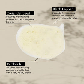 Aesop Coriander Seed Body Cleanser ingredient visuals showing coriander seed and pepper for a refreshing cleanse.
