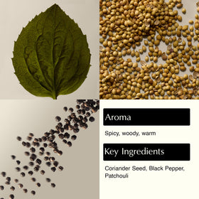 Aesop Coriander Seed Body Cleanser close-up highlighting spice-rich texture and aroma.