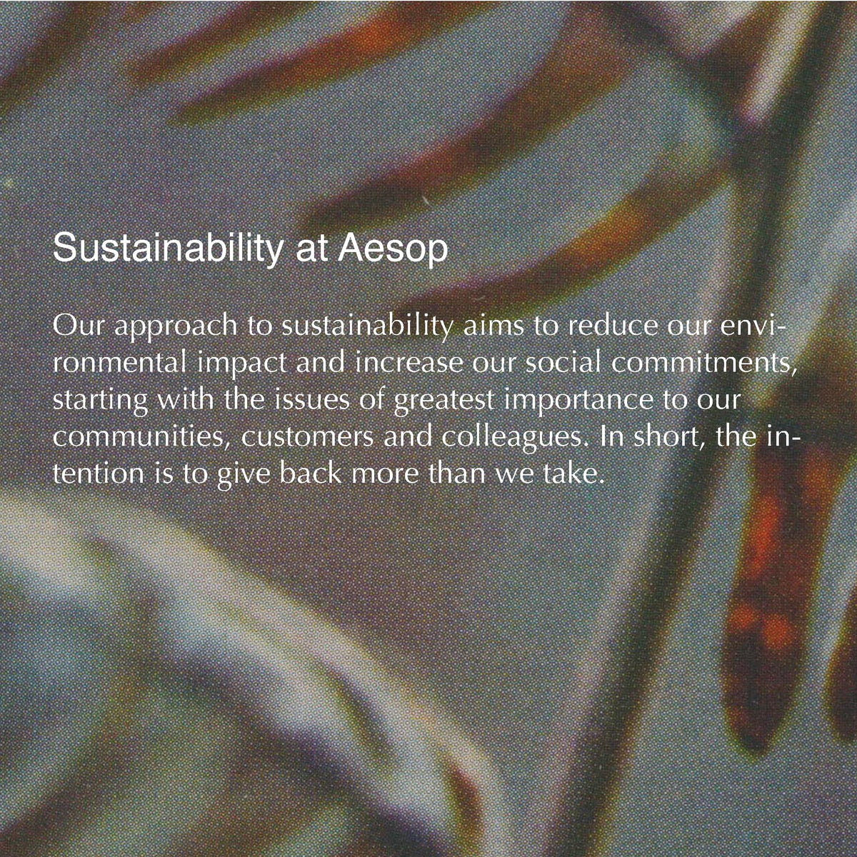 Aesop gift-ready packaging signaling a thoughtful fragrance gift