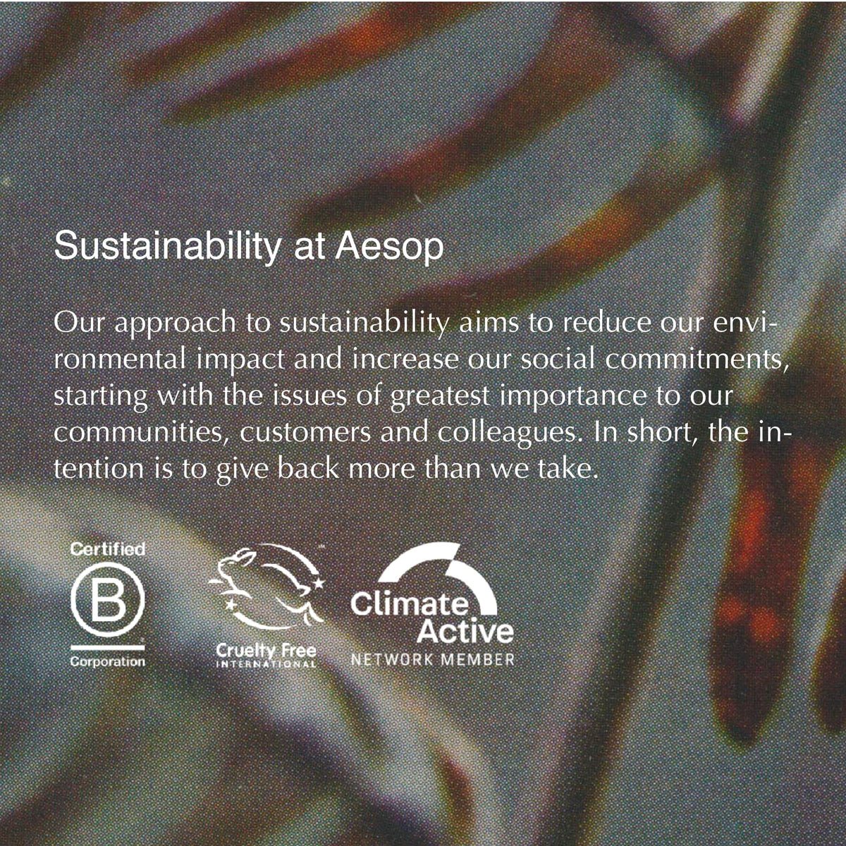 Aesop Moroccan Neroli Shaving Serum delivers close shave with skin-smoothing results.
