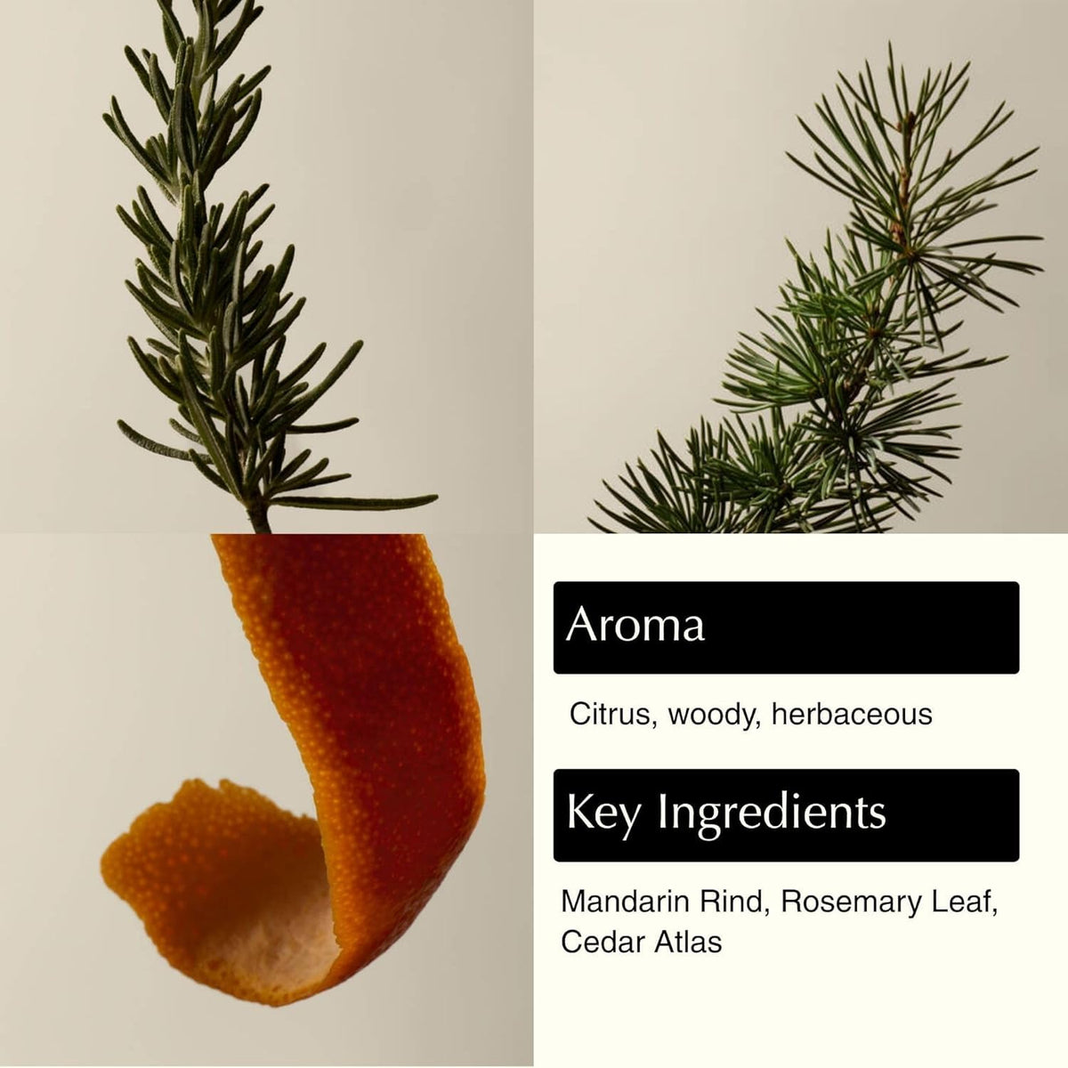 aesop Resurrection Aromatique Hand Wash refill ingredients reveal mandarin rind, rosemary, and lavender.