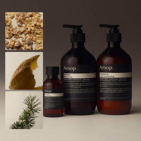Aesop Shampoo Refill cedar atlas close-up emphasizing plant extracts for various hair types