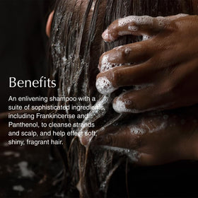 Aesop Shampoo Refill foam texture image suggesting easy lather and rinse