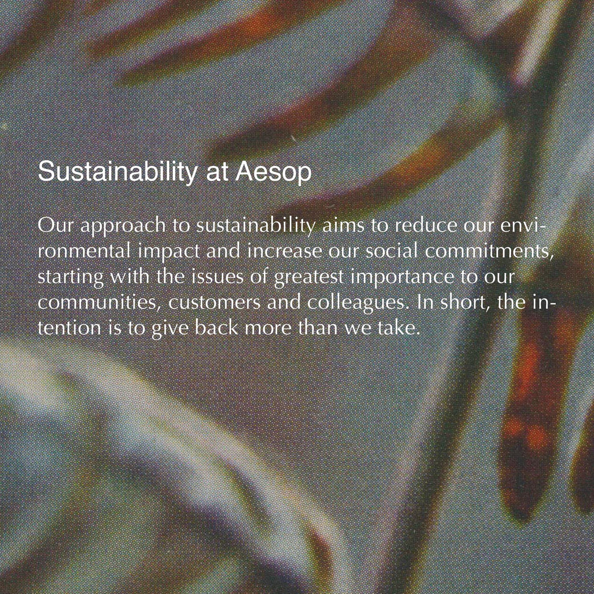 Aesop Rejuvenate Intensive Body Balm application on skin after shower for hydration.
