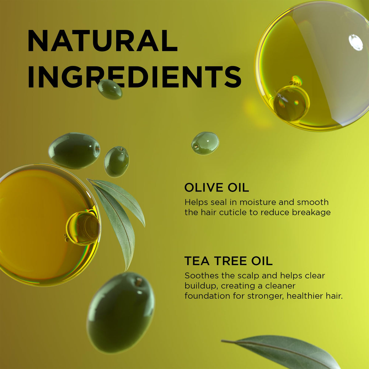 Coily hair section detangling with Olive Miracle 2-in-1 shampoo-conditioner.