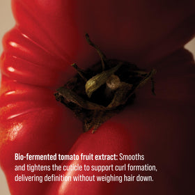 AG Care Re:Coil defined-curls closeup shows smooth, bouncy definition.
