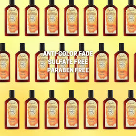 Agadir Argan Oil Daily Moisturizing Conditioner pack showcases generous 12.4 oz bottle.