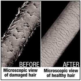 Agadir Hair Shield 450 unisex packaging suitable for shared use and everyday styling.