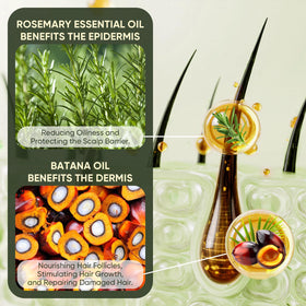 Agodafoo Batana Oil bundle packaging image highlighting complete hair care duo