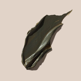AHAVA Dead Sea Mud jar texture shows creamy mud