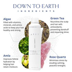 AIIR with green tea extract illustration conveying antioxidant nourishment and frizz control.