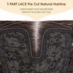 AISI HAIR 18-inch honey highlight wig packaging for easy setup.