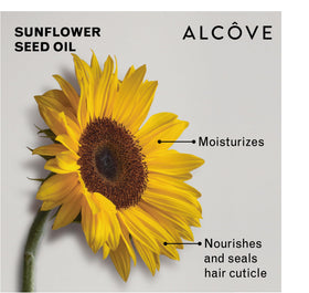 Alcove Hydrating Shampoo featuring mango extract emphasis on moisture and softness